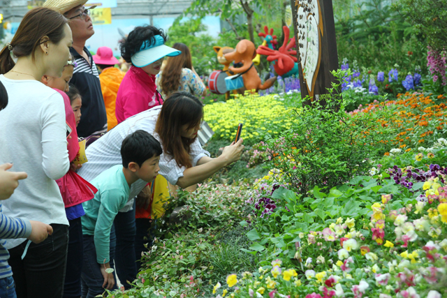 Lễ hội bướm Hampyeong thu hút du khách nhí ảnh 7